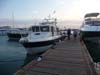 boat_2009 077